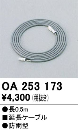 OA253173