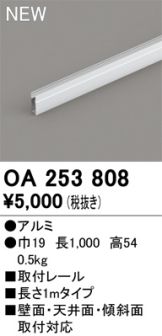 OA253808