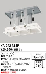 XA253315P1