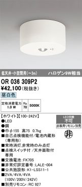 OR036309P2