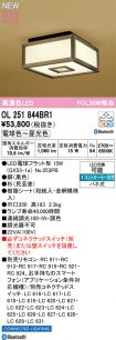 OL251844BR1