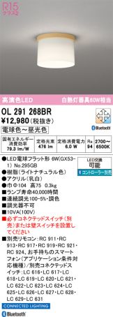 OL291268BR