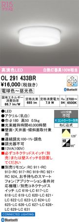 OL291433BR