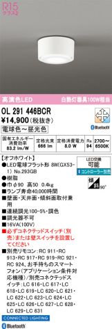 OL291446BCR
