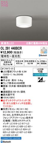 OL291448BCR