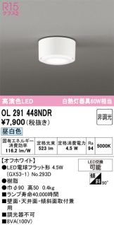 OL291448NDR
