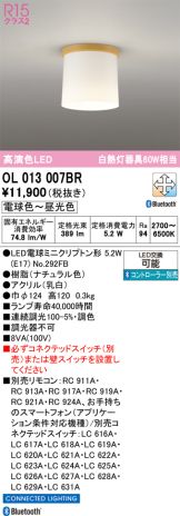 OL013007BR