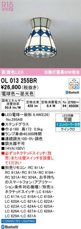OL013255BR