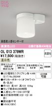 OL013379WR