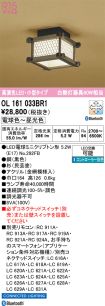 OL161033BR1