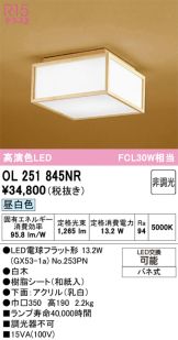 OL251845NR