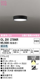OL291279NR