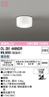 OL291446NDR
