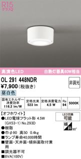 OL291448NDR