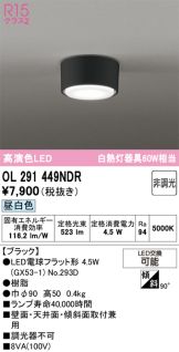 OL291449NDR