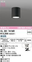 OL291741NR
