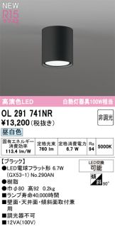 OL291741NR