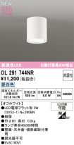 OL291744NR