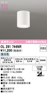 OL291744NR