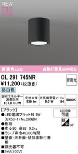 OL291745NR