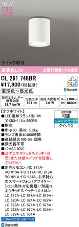 OL291748BR