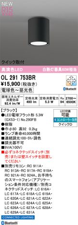 OL291753BR