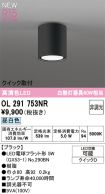 OL291753NR