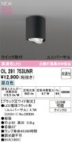 OL291753UNR