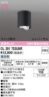 OL291753UNR