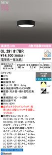 OL291817BR