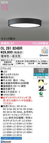 OL291824BR