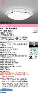 OL251210BRE