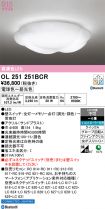 OL251251BCR