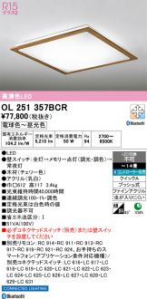 OL251357BCR