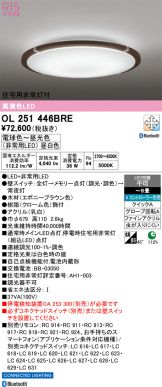 OL251446BRE