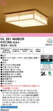 OL251493BCR