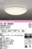 OL251498GR