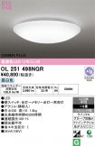 OL251498NGR