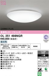 OL251498NGR
