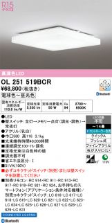 OL251519BCR