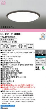 OL251619BRE