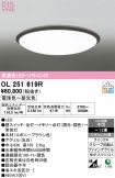 OL251619R