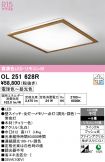 OL251628R