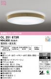 OL251673R