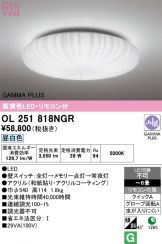 OL251818NGR
