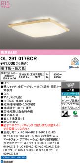 OL291017BCR