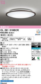 OL291319BCR
