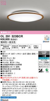OL291323BCR