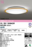 OL291328NGR