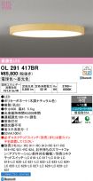 OL291417BR
